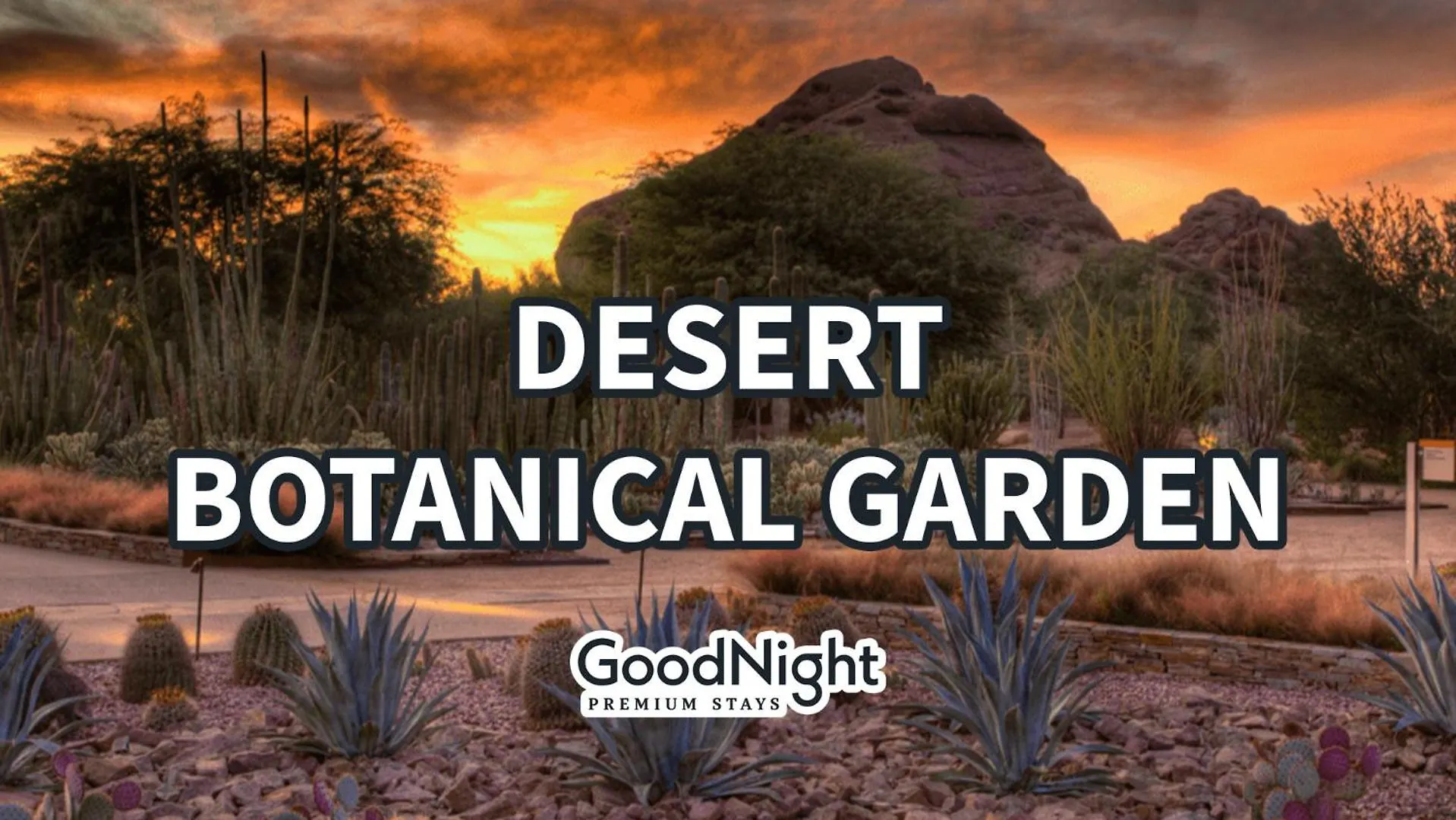 Dom wakacyjny Willa Luxe-Boho House-Heated Pool-Camelback Mountain Scottsdale Stany Zjednoczone Ameryki